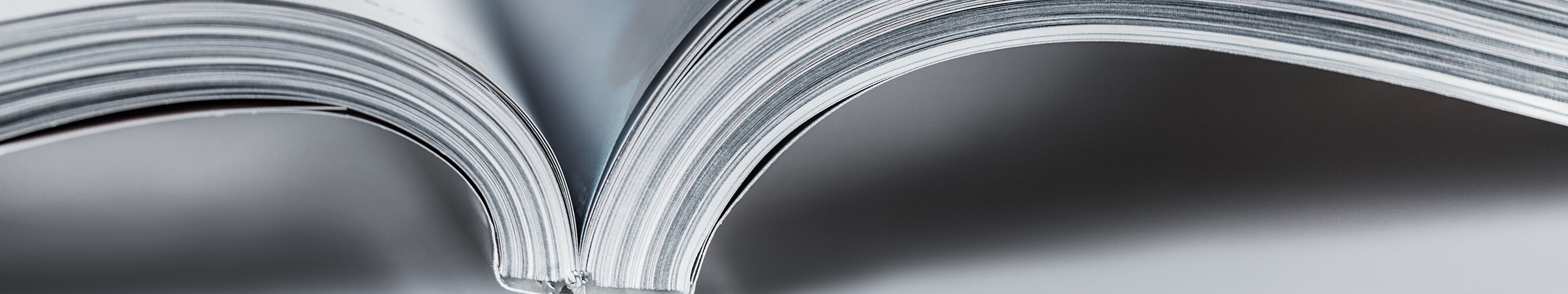 Catalog Banner Image