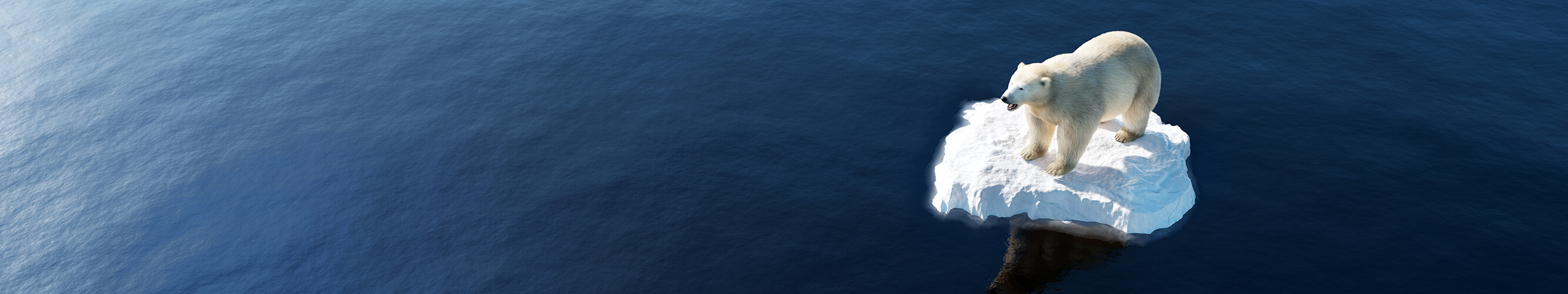 Climate Change Polar Bear Banner