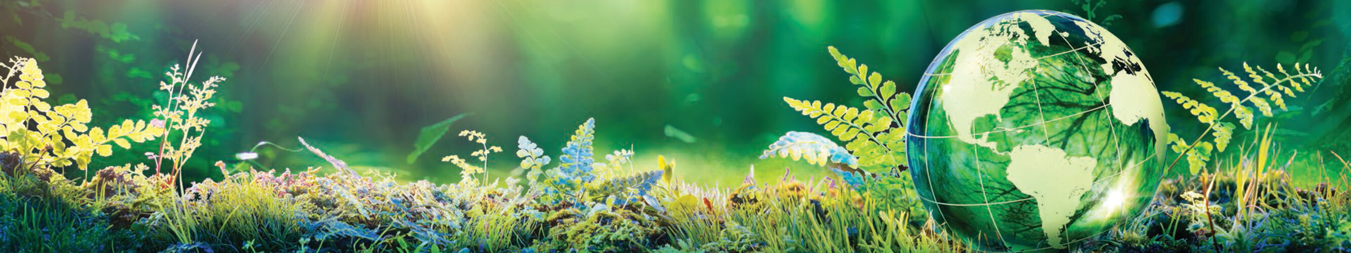 Environment Banner Image