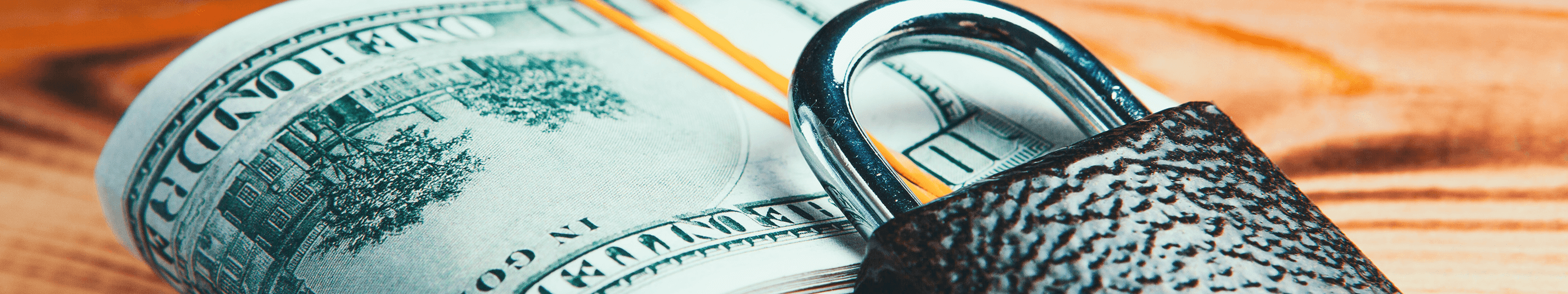 Financial Security Banner