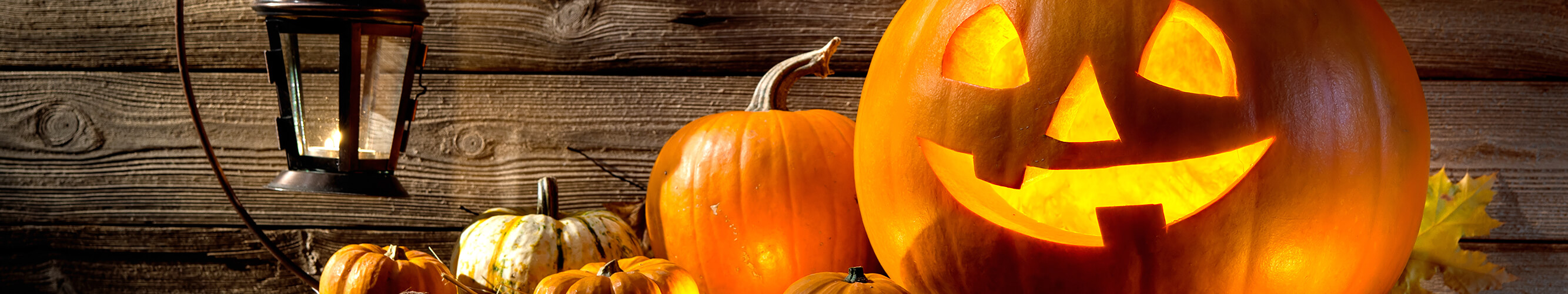 Halloween October Banner