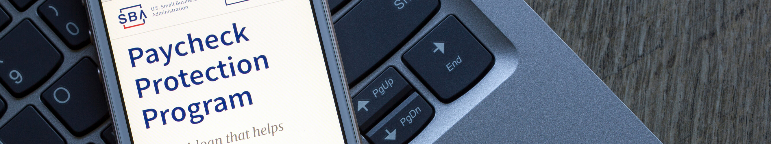 PPP Banner