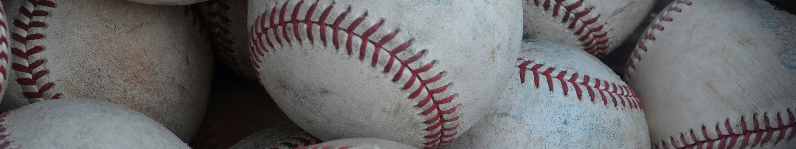 Play Ball Photo banner