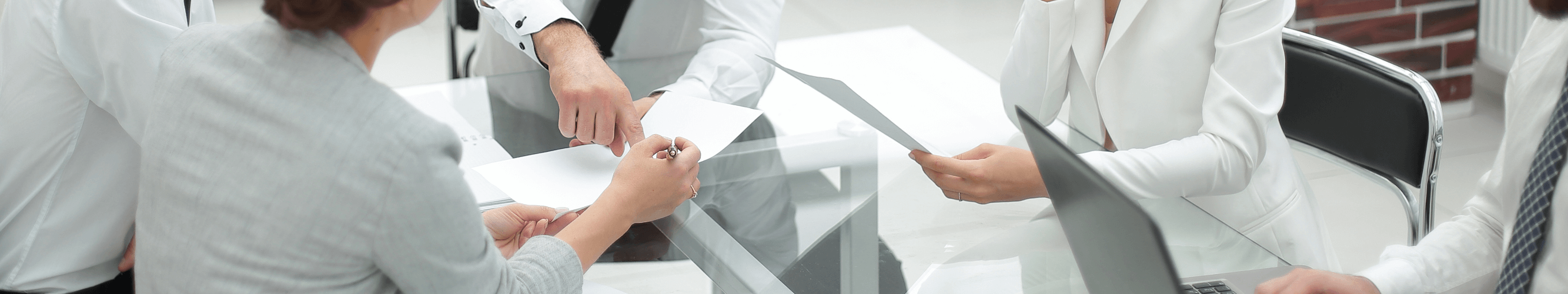 Professionals Meeting Banner