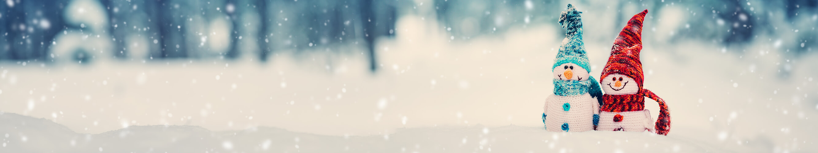 Snow people banner
