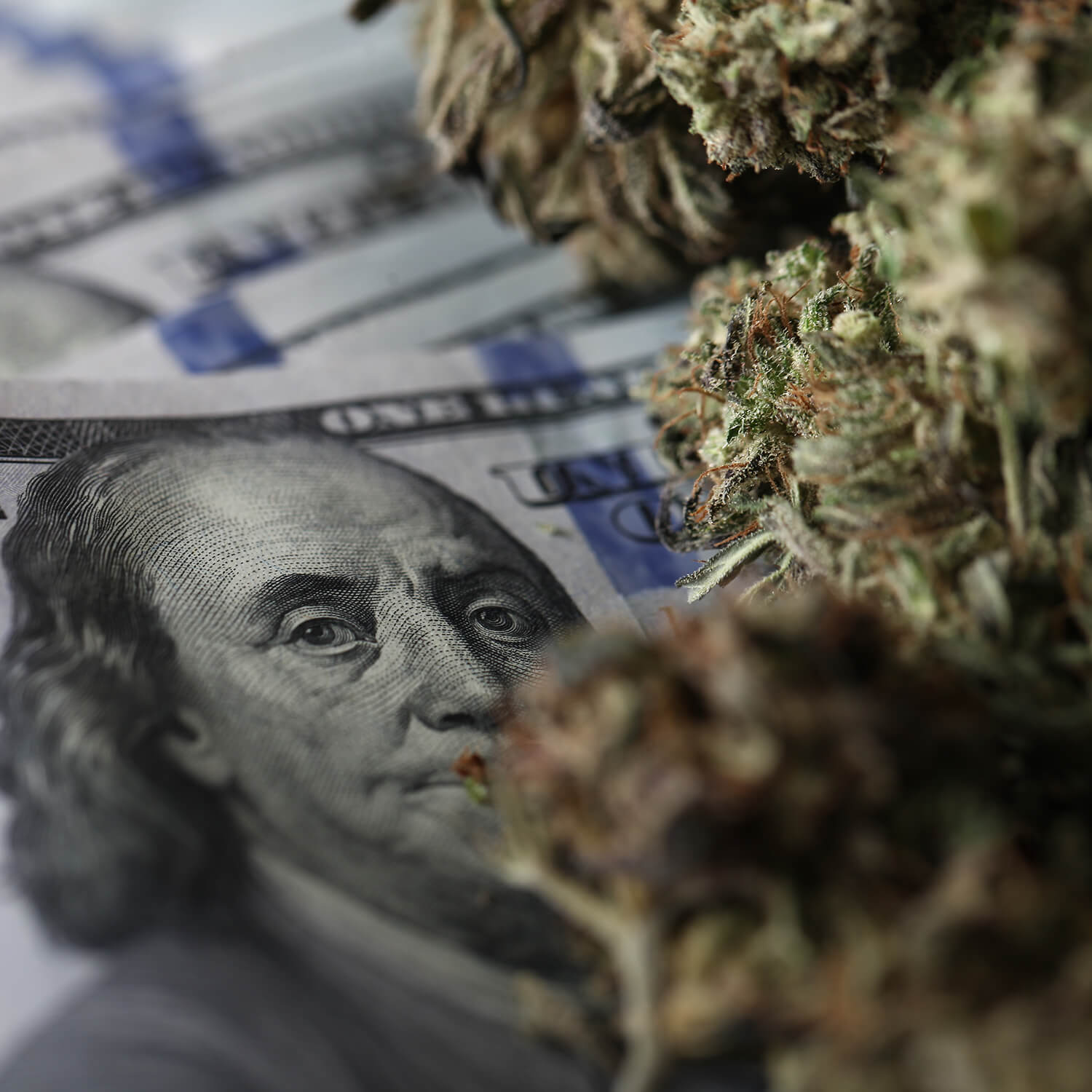 Cannabis Banking Square