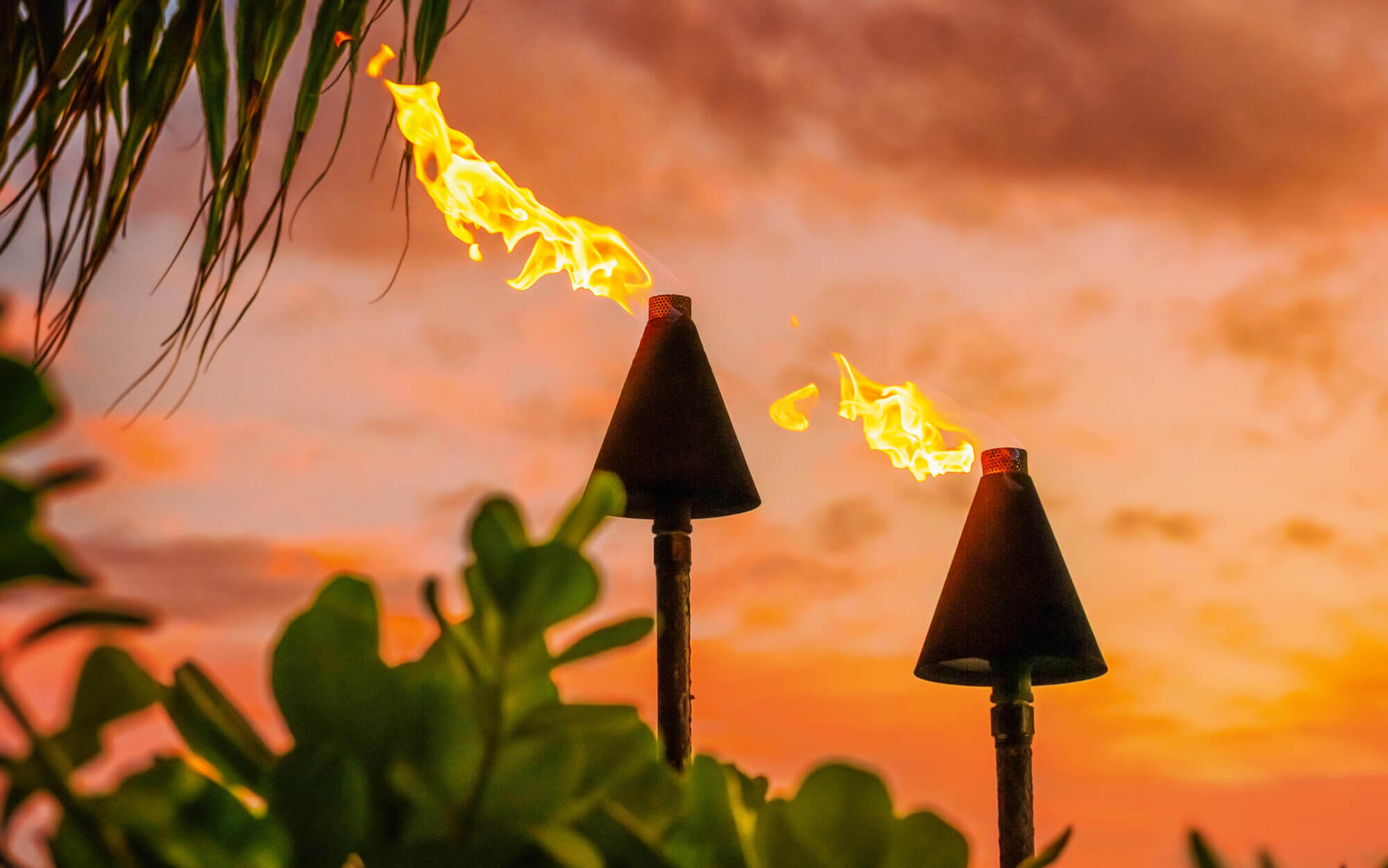 Tiki Torches Hawaii